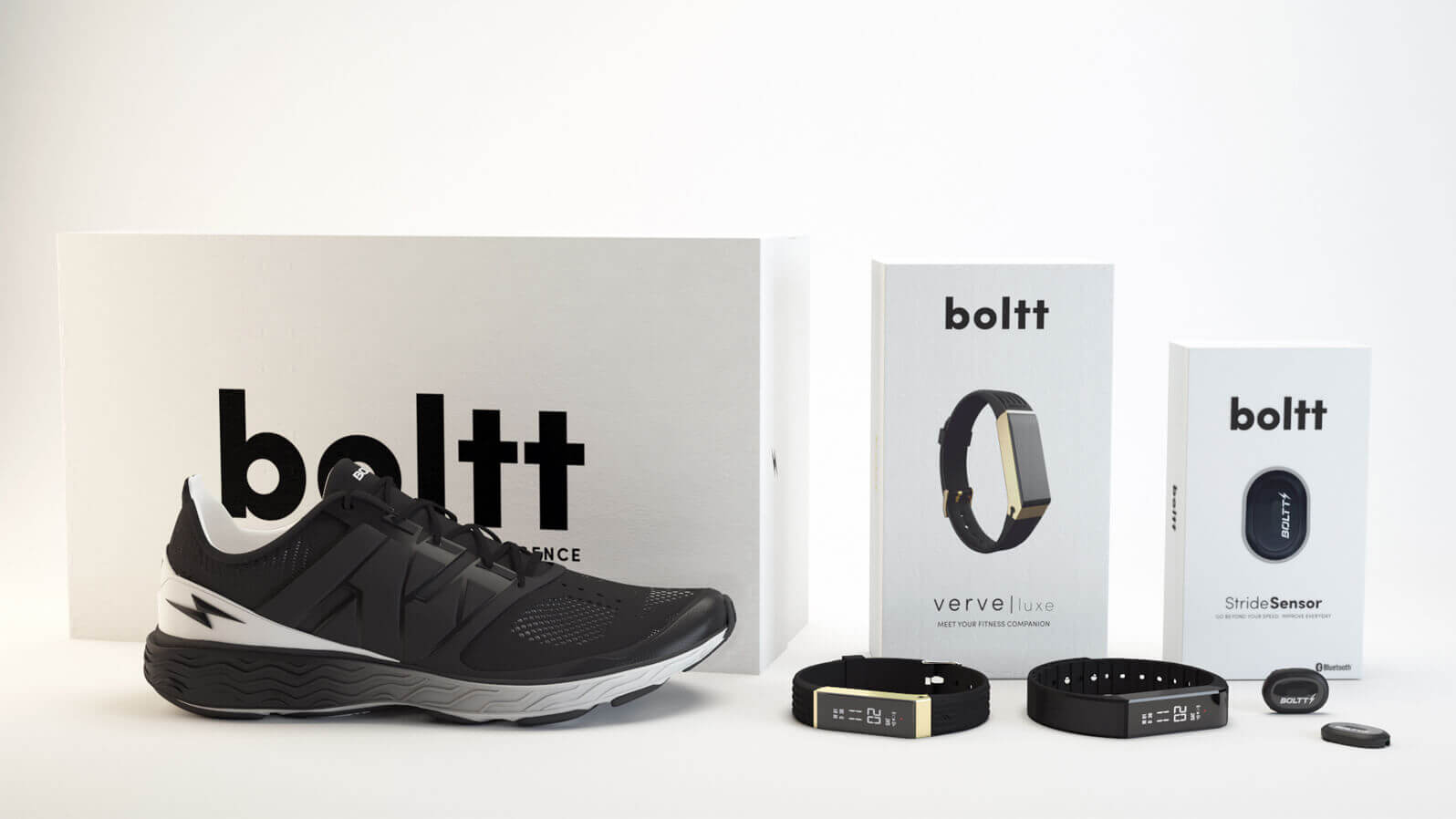 section sixteen image